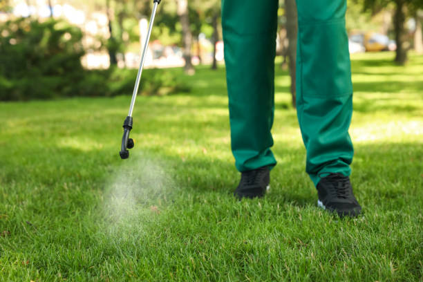 Best Residential Pest Control  in Independence, LA