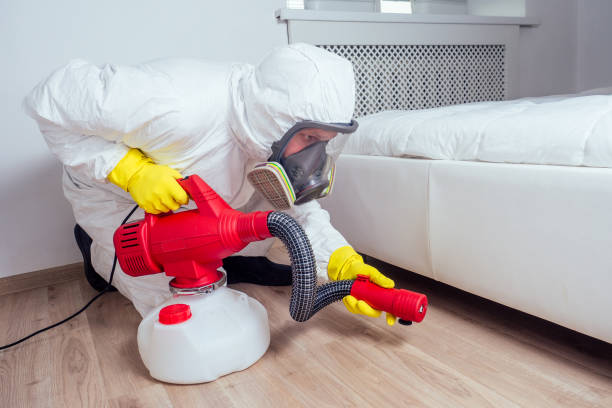 Best Pest Prevention Services  in Independence, LA