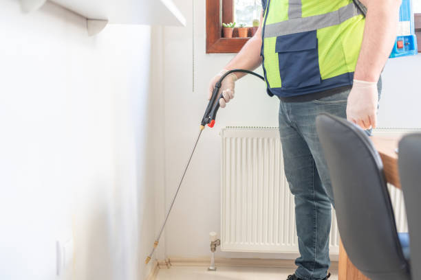 Flea Control Services in Independence, LA