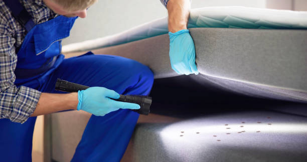 Best Termite Control Services  in Independence, LA