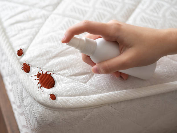Best Commercial Pest Control Services  in Independence, LA
