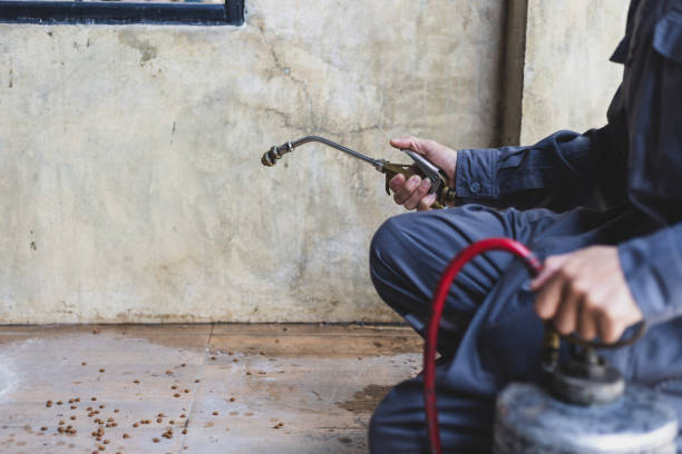 Best Wasp Removal Services  in Independence, LA