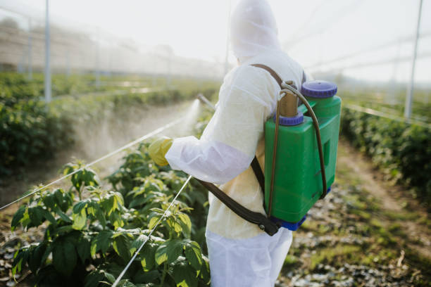 Professional Pest Control in Independence, LA